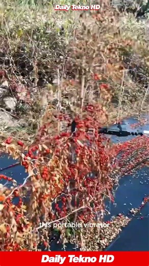 Satisfying TREE SHAKER 🍒 clears the harvest instantly #ModernFarming