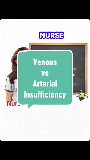 Nurse Bee Compares: Venous vs Arterial Insufficiency #nursing #nursesoftiktok #nursingschool #nursingstudent