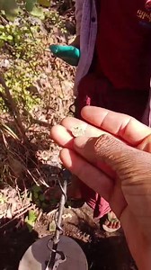 ရွှေရှာစက်နဲ့ ရွှေတွေ အခုလိုရှာတွေတဲ့အတွက် ဝမ်းသာပါတယ်ဗျာ 😊 Video တွေ ပို့ပေးတဲ့အတွက် ကျေးဇူး အထူးပင်တင်ရှိပါတယ်🙏🙏 ရွှေရှာစက်များ မှာယူလိုပါက ဖုန်း - 09666040210 / Viber - 09674566999 | ရွှေခေတ်