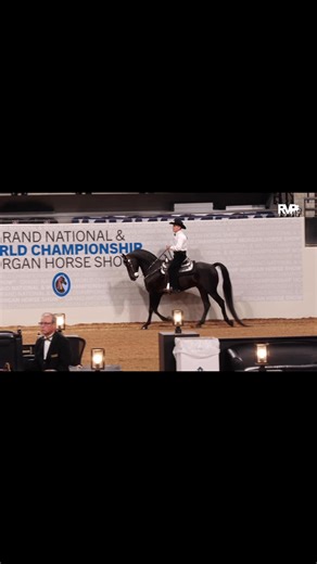 Lucky Four Foot Trophy CVMS Seal the Deal x WVS Lady’s Miss Hollywood 2014 Morgan Gelding After a successful season in open, this handsome gelding is ready to shine with an amateur or junior rider of his own. With his natural self-carriage, curvy good looks, and smooth way of going, Lucky is an easy choice for the rider looking to rise to the top. This year, Lucky was Reserve in the Grand National Western Pleasure Geldings—earning a first-place vote—and he continues to prove he has the quality t