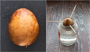 7 Unexpected Ways To Use Avocado Pits