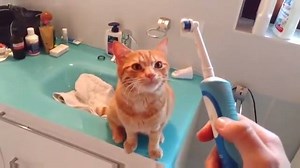 241K views · 791 reactions | Entertain me on Reels | Facebook