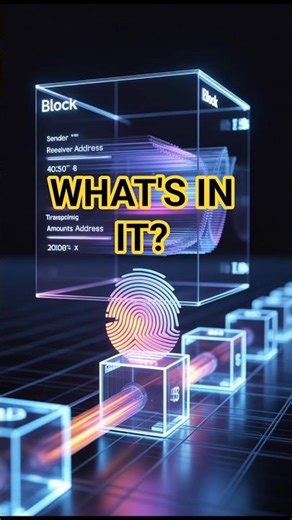 Inside a Blockchain Block 🤯