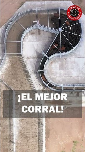 Diseño de corral: un modelo eficiente para ganado productivo. #corral #campo #ganado #rancho