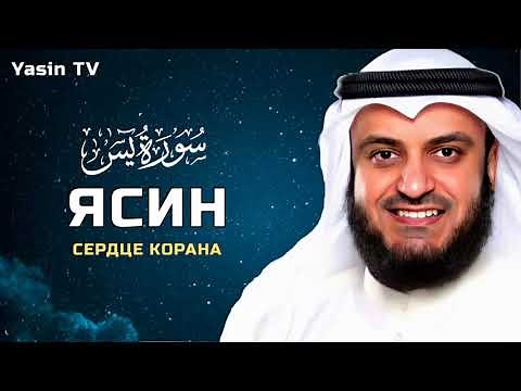 Красивое чтение Корана сура Ясин, Сердце Корана! Мишари Рашид Аль - Афаси/ Yasin TV