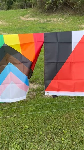 What should the punishment be for burning Palestine and LGBT rainbow flags? 🏳️‍⚧️🏳️‍🌈🇵🇸