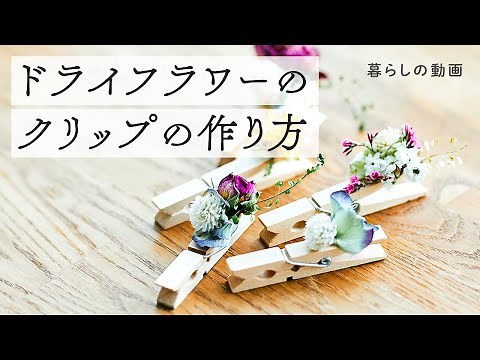 花のある暮らし「ドライフラワーのクリップ」｜ドライフラワーアレンジ、リメイク、ウッドピンチ活用術、100均DIY、インテリア｜キナリノ暮らしの動画