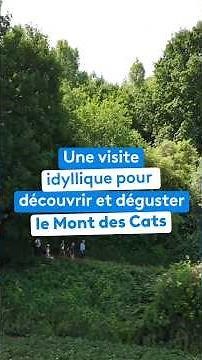 Discovering and Tasting Mont des Cats in Flanders