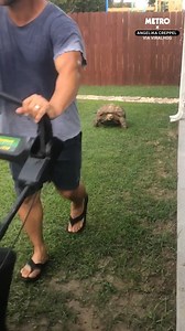 2M views · 40K reactions | The least competative game of tag ever | Metro | Facebook