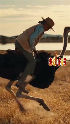 Ni moto ni caballo: esta abuelita eligió un avestruz🫵