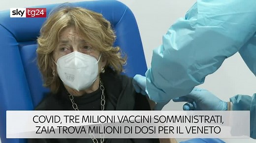 Fiore di iris, il significato e come coltivarlo: cosa sapere