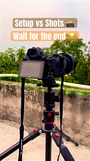 Nikon Z7ii with Sigma 150-600mm Setup vs shots | CapturedbyPiyush #shorts #nikon #trending #birds