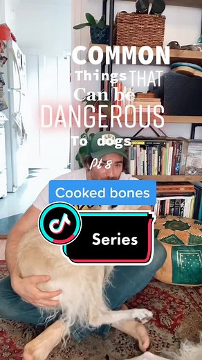 Dangers of Cooked Bones for Dogs and How to Keep Them Safe