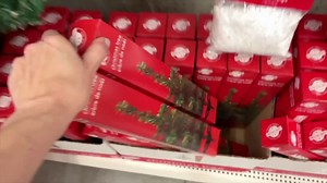 Dollar Tree Mini Tree Turned Christmas Door Styling