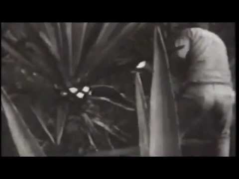 MÉXICO BÁRBARO COMPLETA