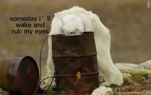 Support Polar Bear Conservation Through This Video