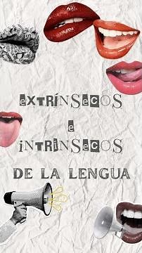 P1_Función de los músculos extrínsecos e intrínsecos de la lengua