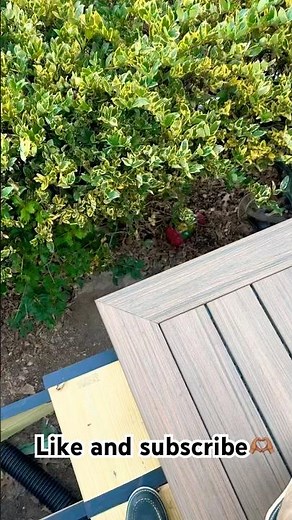 Picture frame composite deck #trex #homeimprovement #carpentry #construction #pictureframe