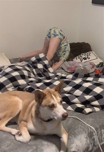 If you’re wondering why my page is called “Chaos In Clown Shoes” - this is why. #singlemom #parenting #disability #daughter