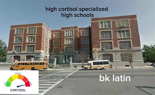 Understanding Cortisol Levels: High vs. Low