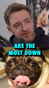 Pugs are a TOUGH hang! #standup #comedy #pugs #dogs #dogoftheday #doglove #doglove #funny #shorts | Dan Soder