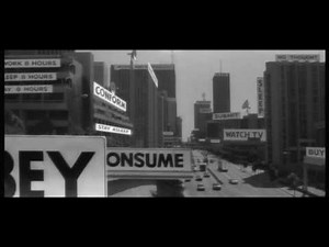 Women in the Matrix MGTOW