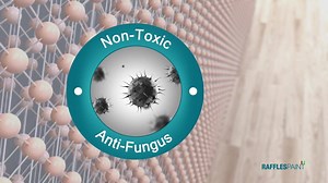 334 reactions · 89 shares | <DEEPAVALI OFFER> 10% OFF for R.ONE. Use coupon "RP10" at checkout. Free Delivery within 24-48hours. | Raffles Paint | Facebook