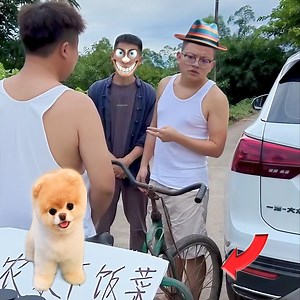 Crashed 🤣Laughing 😅😂 Funny Moments |Watch Till End |🤣🤣🤣😂😜😜 || #video #funnyvideo #trendingvideo #comedyvideo #reels #reelsfb #reelsviralfb #funny #reelsfbviral #viral #fbreels #comedy #reelsvideos #trending #comedyreels #funnyfrank #storefront | Daily Comedy Club