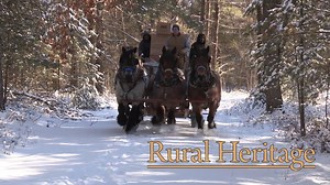 871K views · 9.8K reactions | On the Road with Rural Heritage — We...