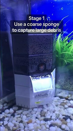 3-Stage Super Quiet Turtle Tank Filter! #turtle #turtletank #reptile #aquariumfilter #turtletalk