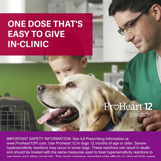 Just one injection of ProHeart 12 ensures one full year of compliance and protection from heartworm disease. Prescribing info: https://bit.ly/2NKGrv5 | Zoetis