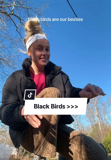 just me and our pet crows | birds