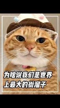 agh 為啥說我們是世界上最大的街溜子呢？#搞笑 #離譜 #萬萬沒想到