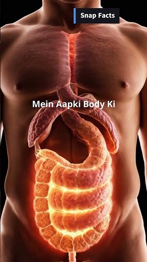 Benefits of Black Pepper: Boost Digestion, Immunity, and More!