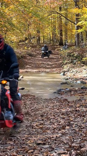 Rich Beymer on Reels