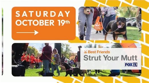 Best Friends Animal Society TV Spot, 'FOX 13: 2024 Strut Your Mutt'