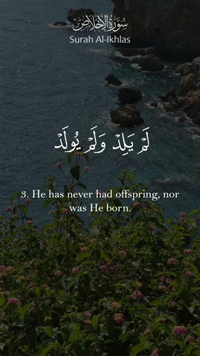 Surah Al-Ikhlas | Beautiful Qur’an Recitation with English Translation #quran #islamicreminder