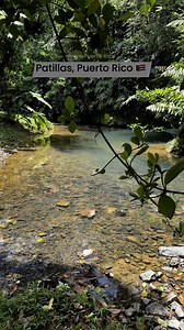 184K views · 5.1K reactions | Patillas, Puerto Rico  #amazingpuertorico #puertorico @topfans | From Puerto Rico | Facebook