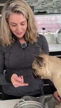 My Dog Finally Drinks Water. Wait for It!