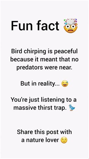 Why do birds sing in the morning? (THIS IS SHOCKING)