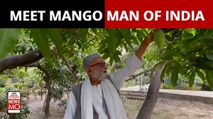 National Mango Day 2022: Meet The Mango Man of India Who Has Grown 300 Types of Mangoes