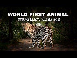 Meet Earth’s Original Animal: Dickinsonia Explained