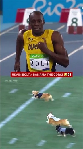 Usain Bolt has some competition 👀