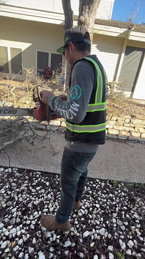 Tree Trimming Tips for Safe and Efficient Work