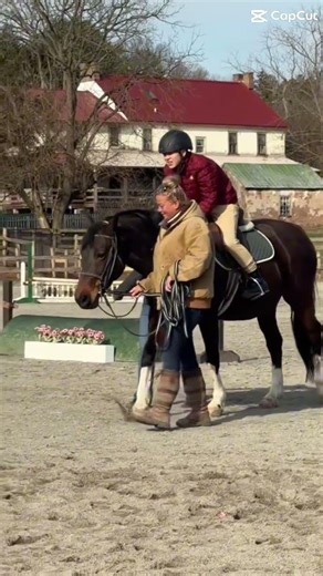 Aiden’s first riding lesson😍 #horse