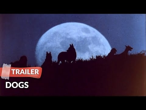 Dogs (1976) Trailer | David McCallum | Sandra McCabe