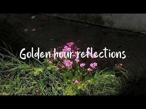 Golden hour reflections | Piano Playlist