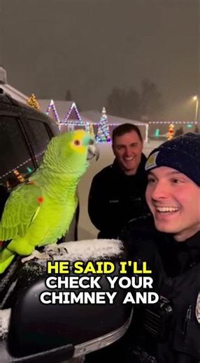American Parrot Orders Police To Arrest Santa Claus! 🎅🇺🇸