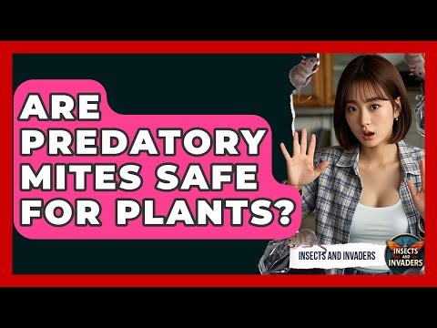 Are Predatory Mites Safe For Plants? - Insects and Invaders