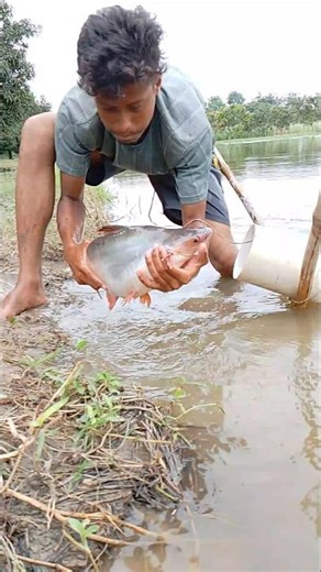Crazy boy catche big fish with his pipe #pipe #fish